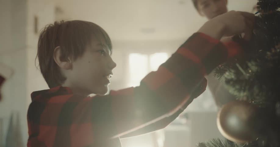 Two boys decorate the christmas tree with christmas tree lights and christmas bulbs