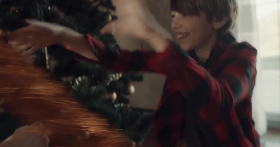 Brothers play and laugh while decorating christmas tree near window