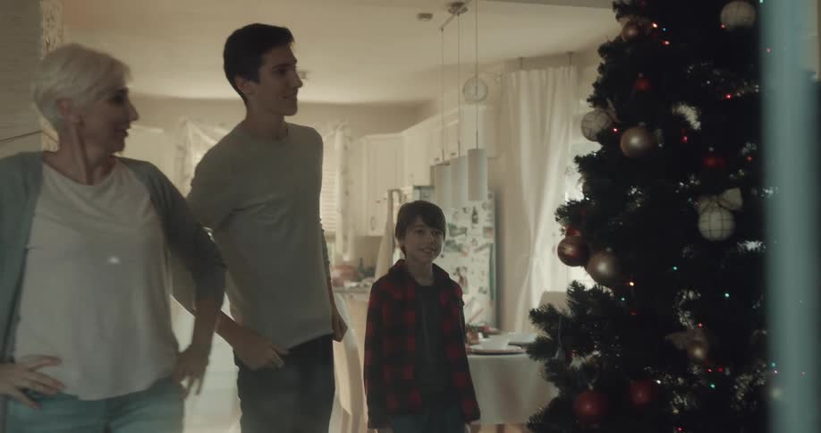 Two boys hug an older woman as they look at their christmas tree