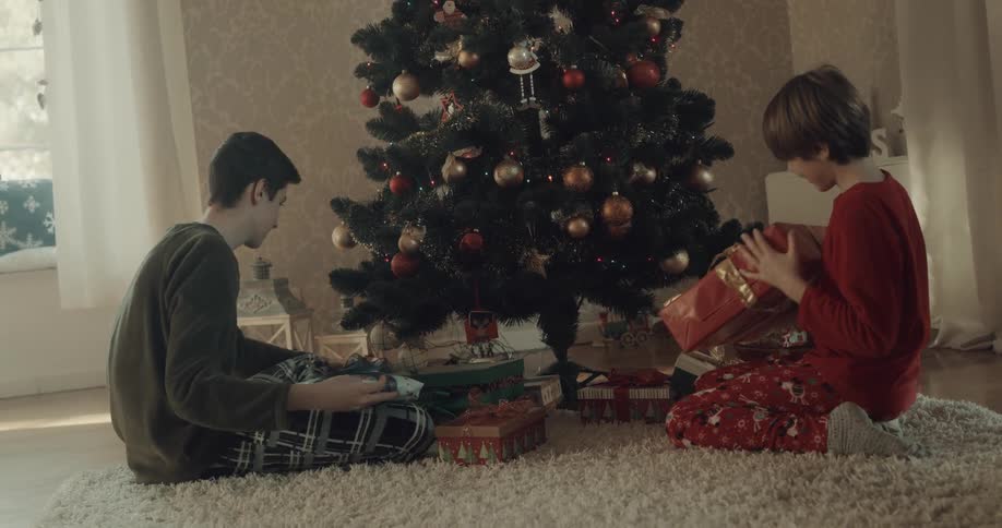Two brothers run over to a christmas tree and pick up the gifts underneath