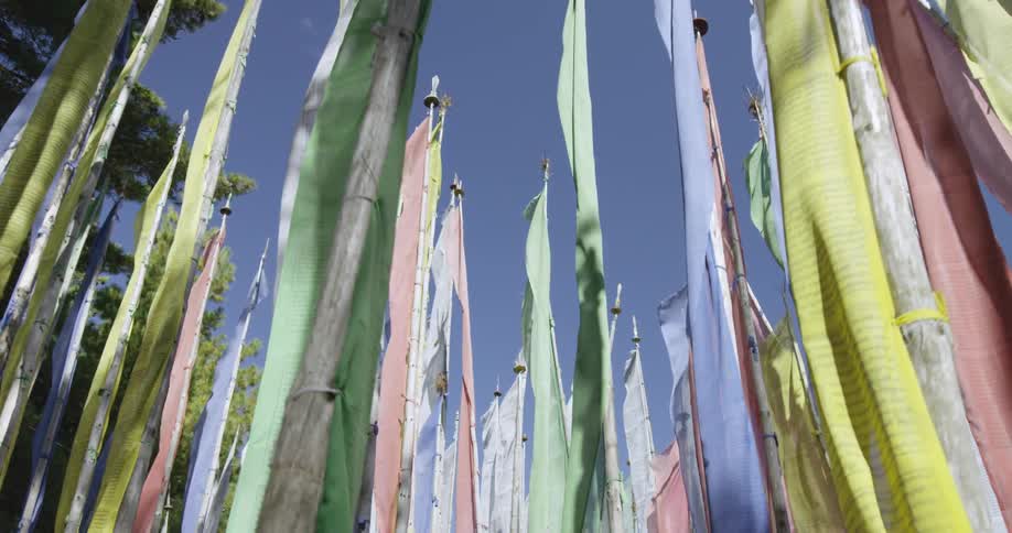 Tall streaming flags of many colors fly on poles