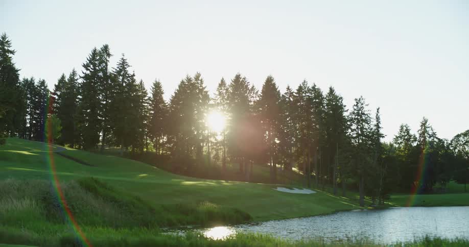 Sunlight filters through the branches of a pine forest in the hill next to the lake