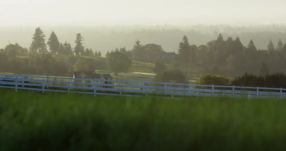 Close up to grass field to white fence and trees with mountains in horizon
