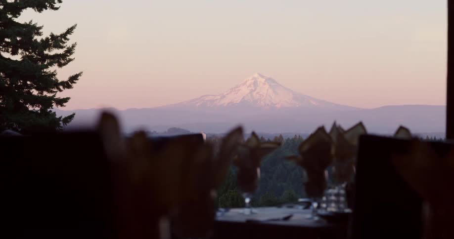 A distant snow capped mountain looming over a forest visible through a large window in a restaurant