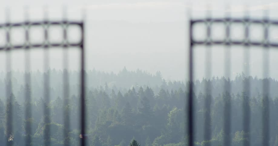 Gates open to a large group of trees