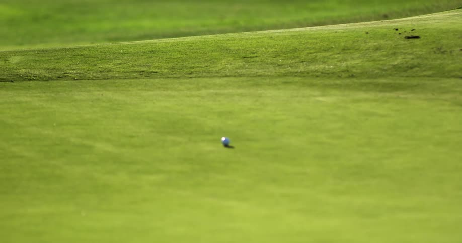 A golf ball rolling on grass on a golf course