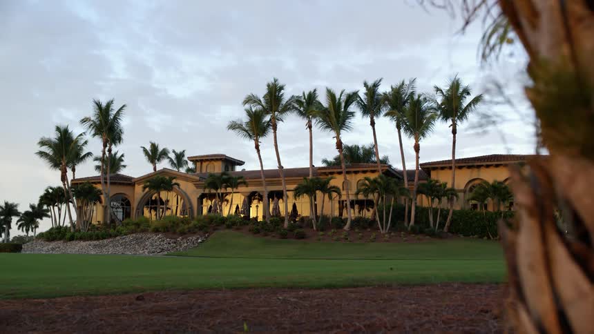 The wind blows the branches on the palm tree