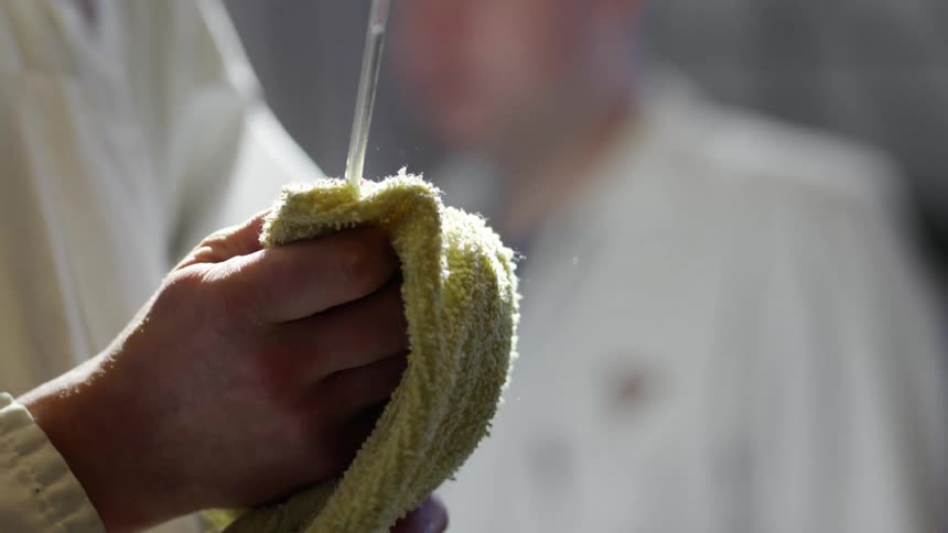 A doctor cleans a thermometer