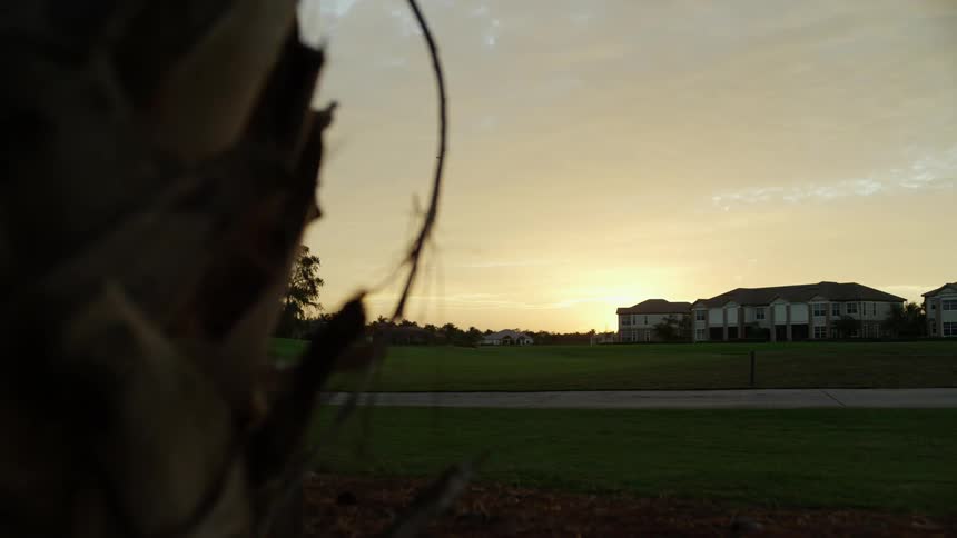 The sun rises over a set of homes in a suburb while a bird flies off to the left