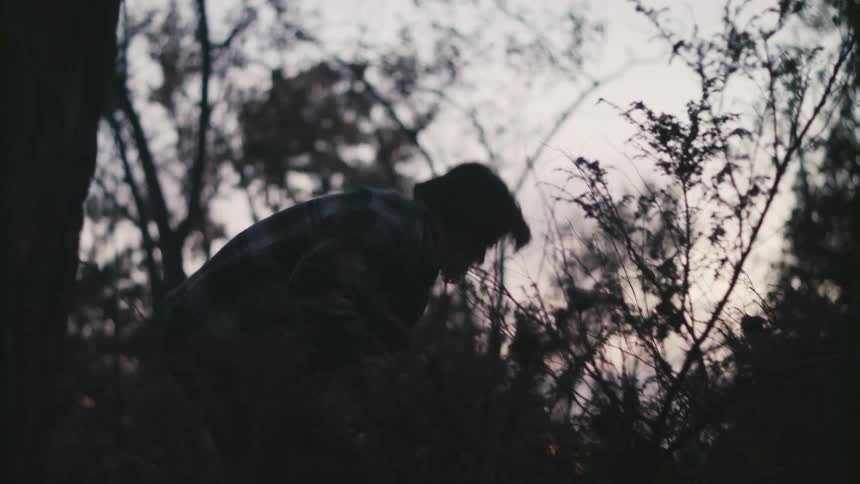 Silhouette of a man picking kindling on the bushes and shrubs in the forest at sunset