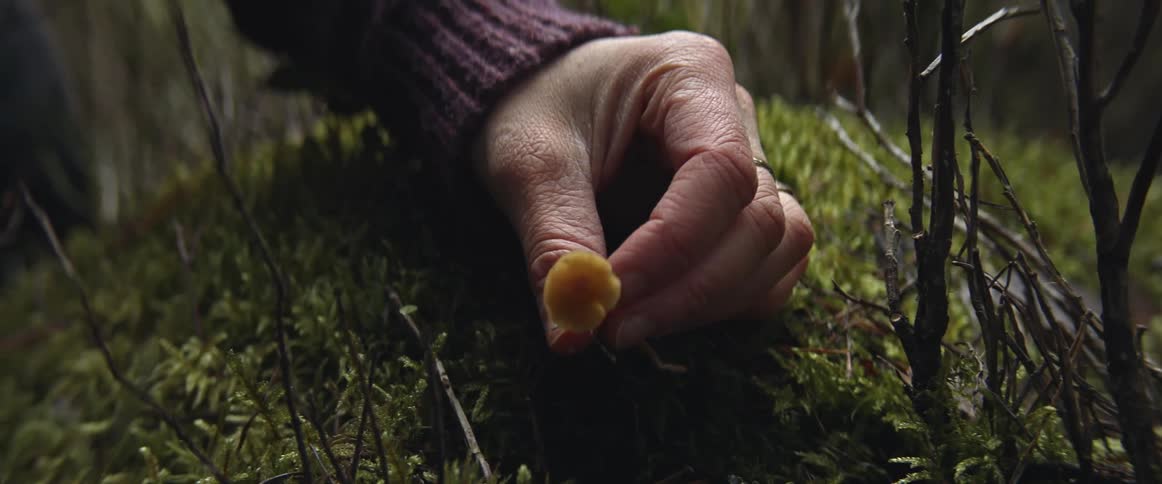 A woman picking and holding a small mushroom in a forest