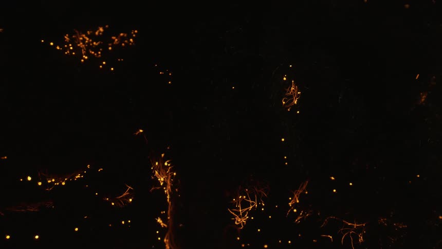 Tendrils brighten and darken against black background as small particles flow and jump