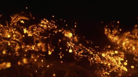 A fire burning outside