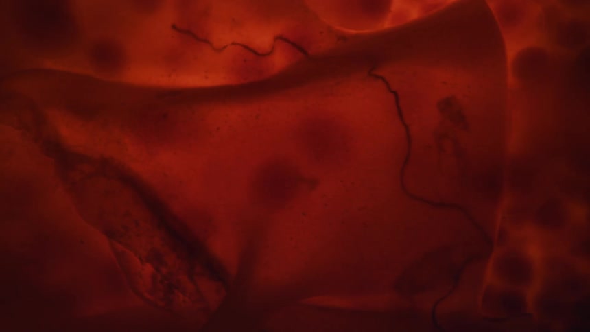 Cloth designs on it floats through thick red liquid with balls or clumps