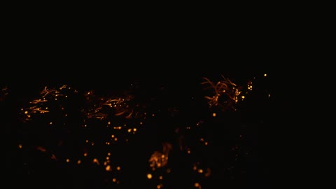 Black orange and yellow colors that look like embers burning in the dark