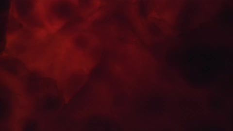 Flowing dark red blobs in liquid