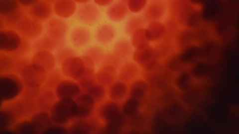 Red spheres jiggle inside a thin glowing membrane