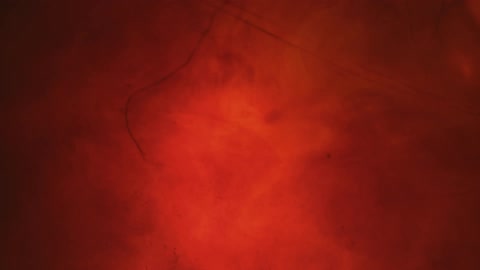 Abstract footage of liquid dye mixing