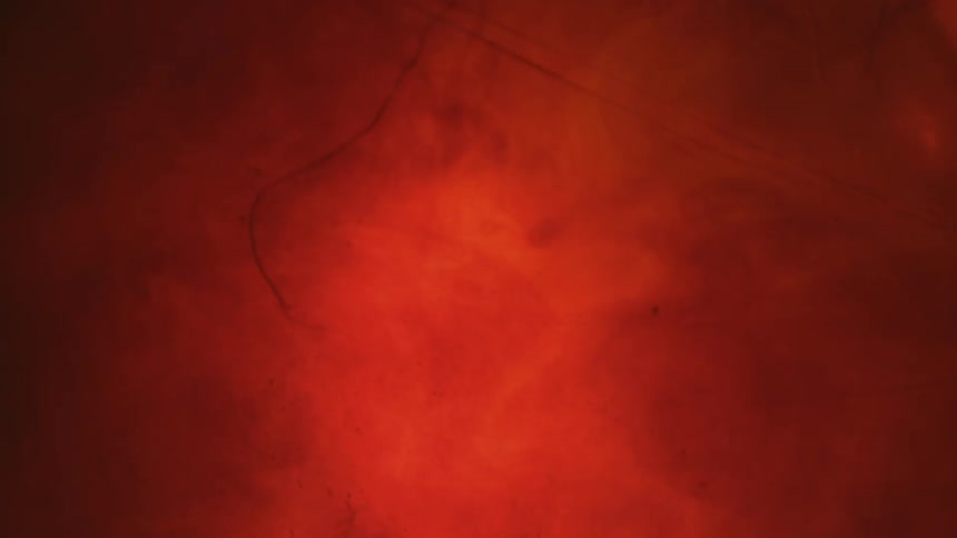 Abstract footage of liquid dye mixing