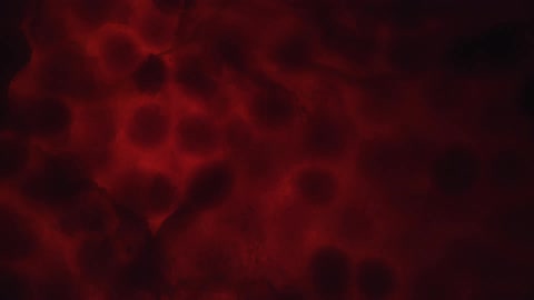 Black red and yellow colors that look like liquid and gel
