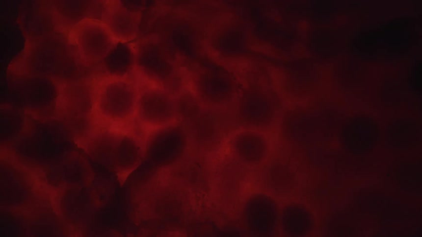 Black red and yellow colors that look like liquid and gel