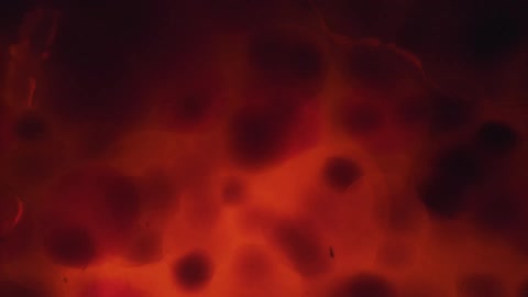 Swirling balls of liquid in brown and orange with lights interspersed in the movement