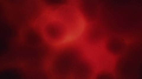 Liquid moves as light flashes and then goes dark turning from red to black