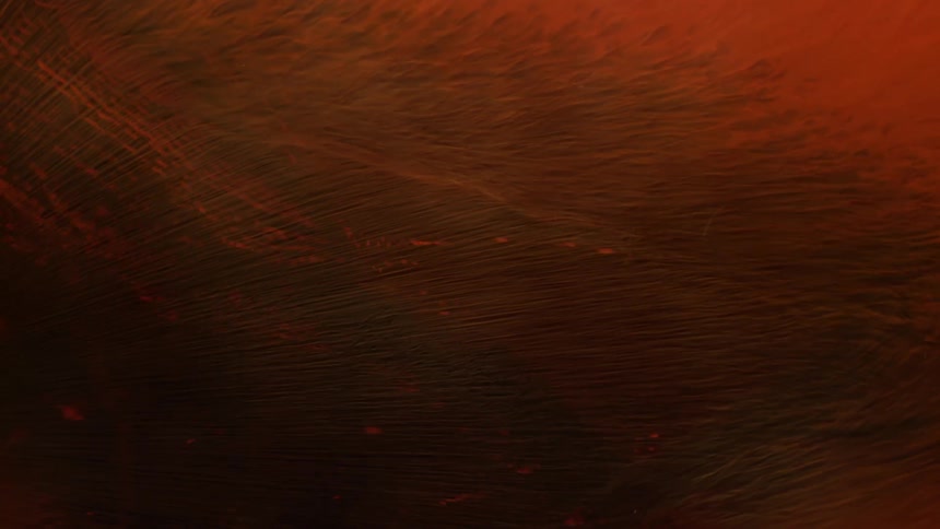 A wave of Red moves across an orange backdrop