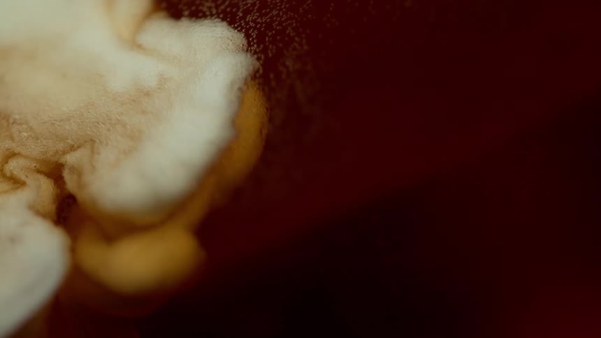 A milky like substance being poured into a carbonated beverage