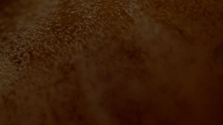 A light yellow liquid bubbling and moving