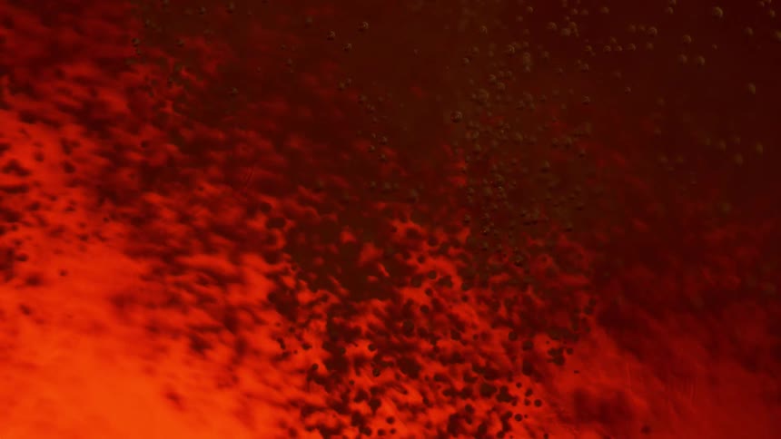 Brown black and orange colors that look like liquid and bubbles