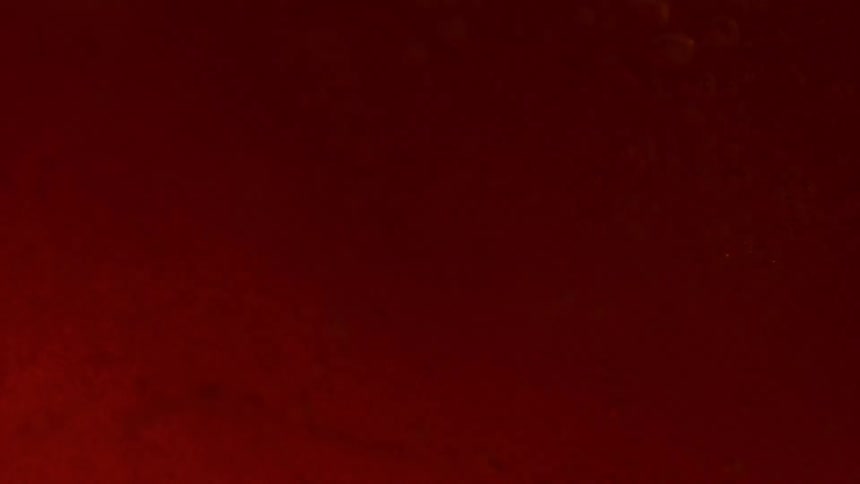 A viscous red liquid moves in an enclosed membrane