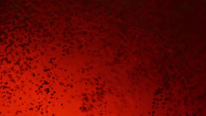 Dark dots floating make liquid look brown and as they then out it looks red and then fades to black