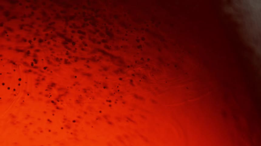 A red dye and liquid bubbles up beneath the surface of a thin membrane