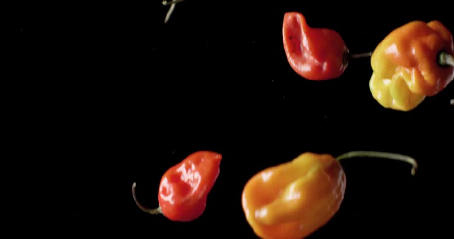 An indoor studio shot of peppers tossed upwards and falling down