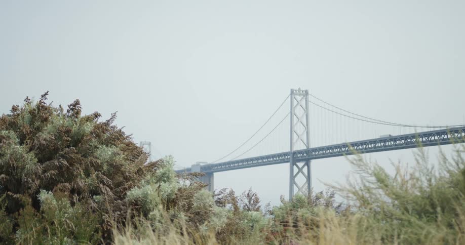 A bridge with plants and a bird flying in the foreground with the sky and clouds in the background