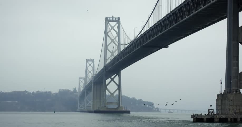 Birds fly under bridge over ocean in low sunlight on foggy day with shoreline in distance