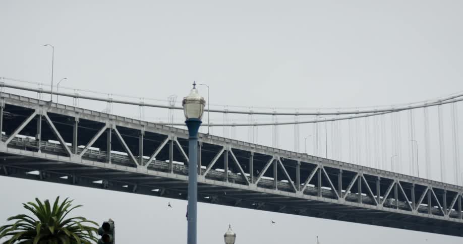 A flock of birds fly past a steel bridge against an overcast sky