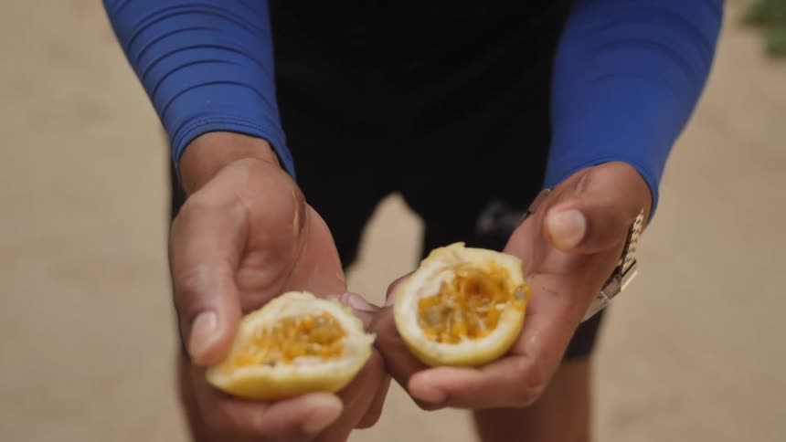 A man opens a piece of fruit