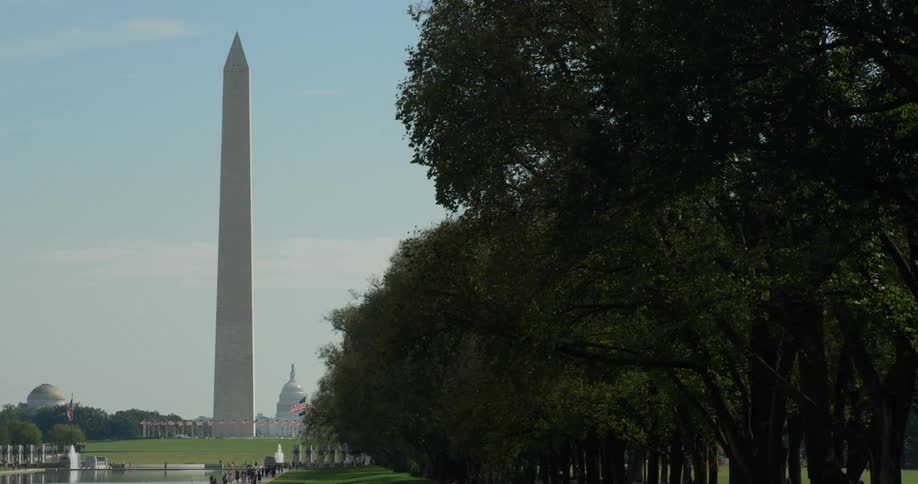 Trees lined along a pathway where there are people walking towards the washington monument