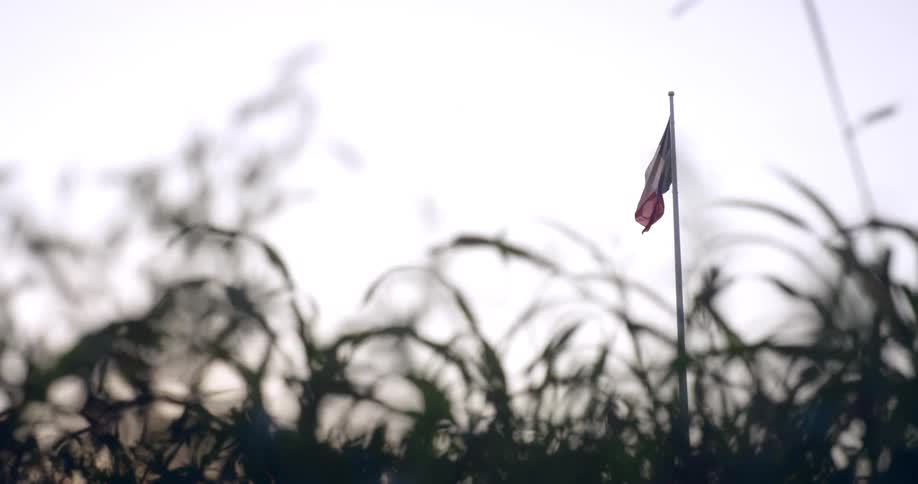 Flag on metal flag pole blows in the wind behind semi tall grass