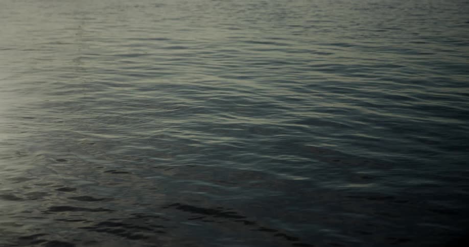Water ripples and moves in the wind half reflecting light half in shadow
