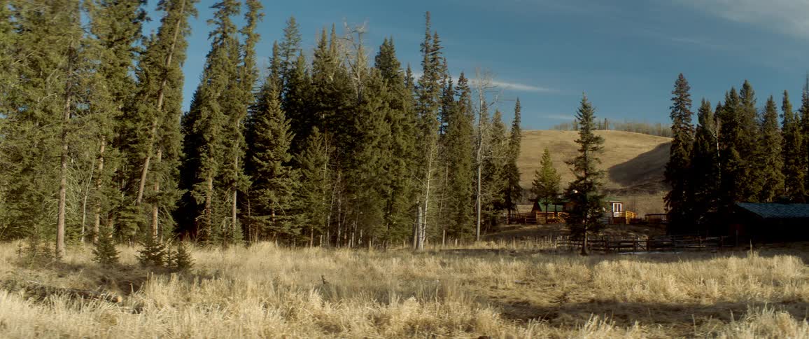 Forest out in a remote hilly area with a small house and a fence in the distance