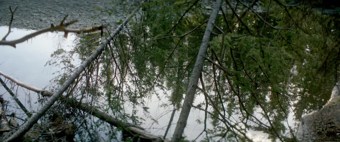 A puddle of water with the reflection of trees the sky and clouds