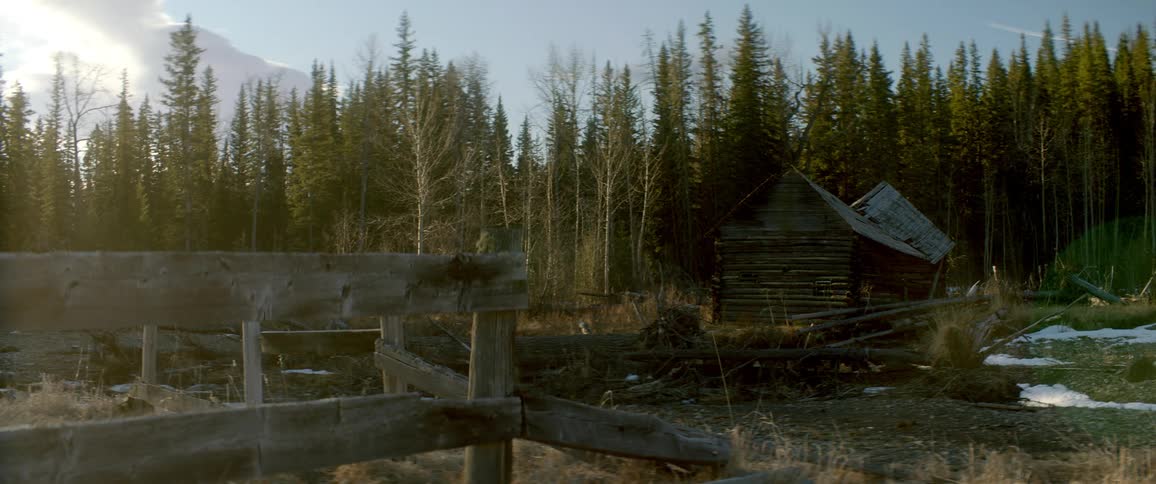 Log cabin sits near conifer forest with cloud covered mountain on horizon