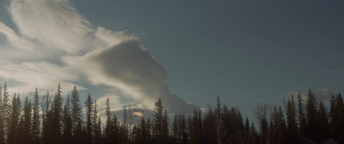 The sun is setting above the forest