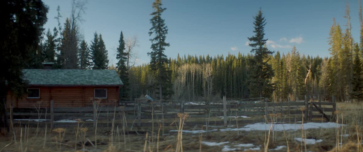 A cabin and wood fence in a forest on a winter day