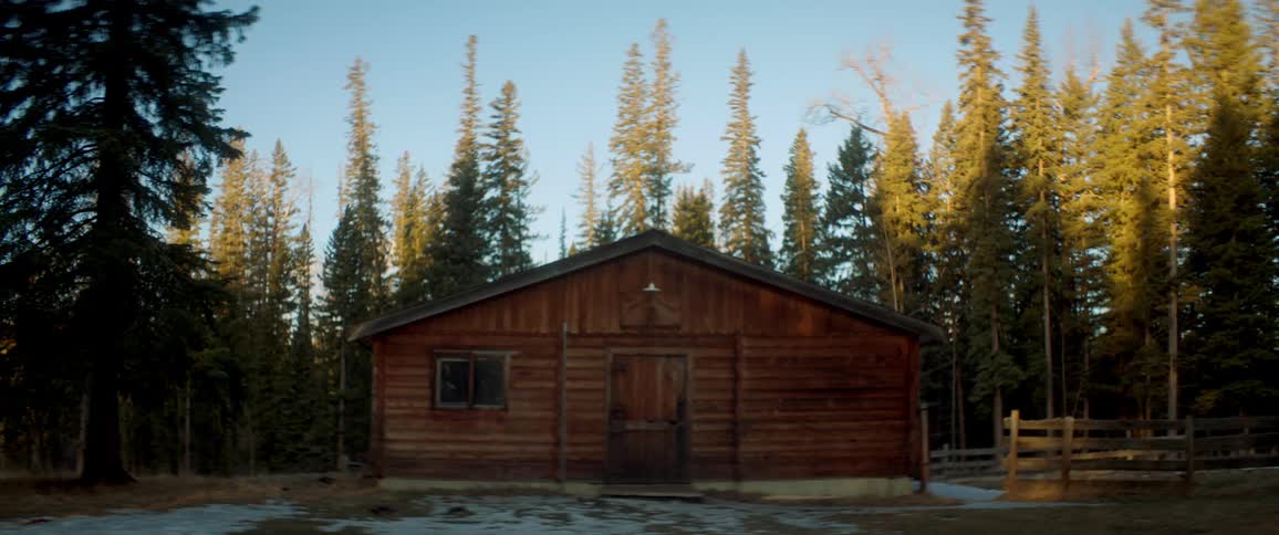 A small log cabin is surrounded by trees in a forest