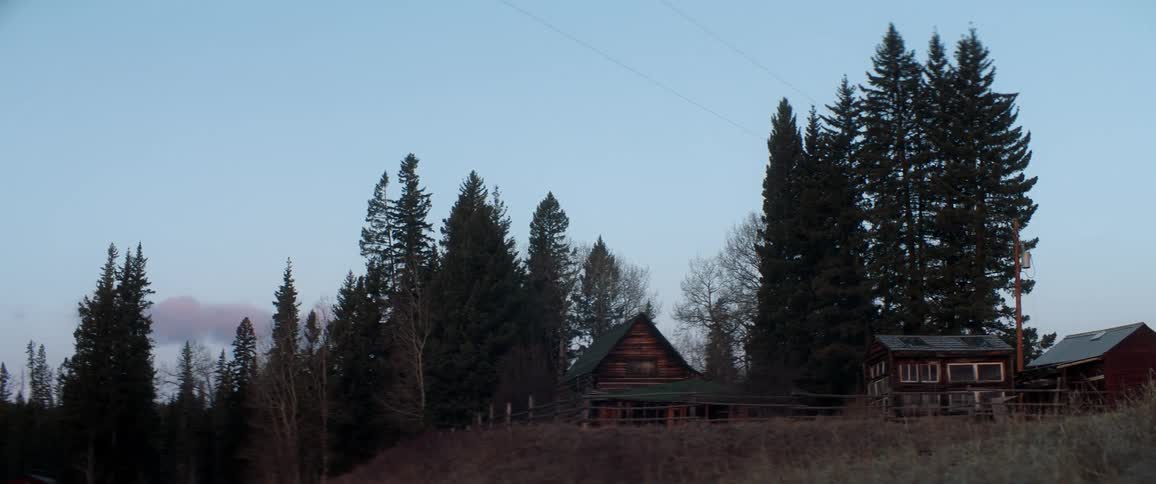 Log cabins with green shingles are built near a forest