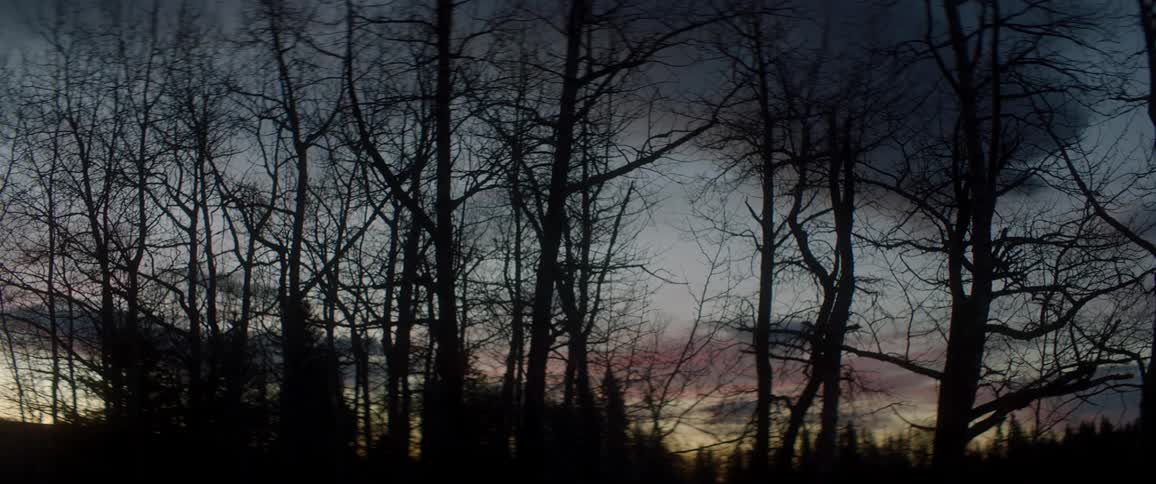 The sun is setting the horizon